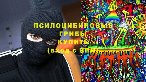 метадон Богородицк