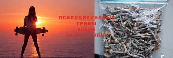 дурь Богданович