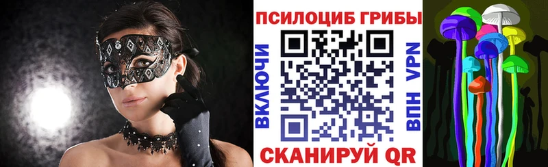 Псилоцибиновые грибы Psilocybe  OMG ТОР  Махачкала 